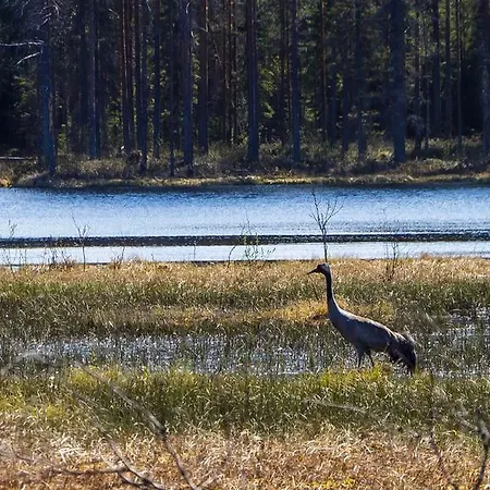 Vakantiehuis Rajan Loma Cottages *