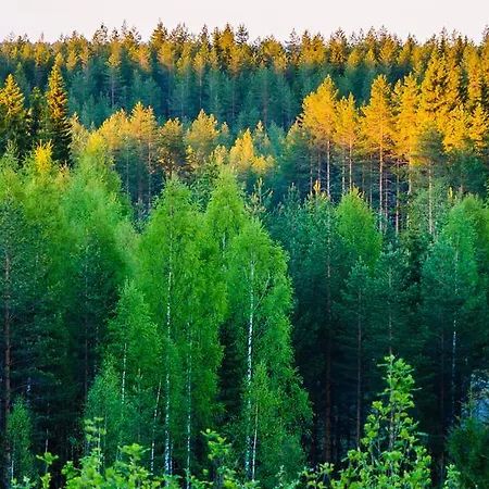 Vakantiehuis Rajan Loma Cottages *