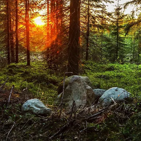 Vakantiehuis Rajan Loma Cottages *