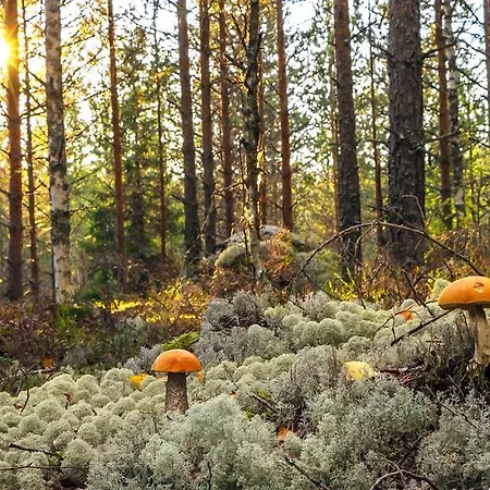 Rajan Loma Cottages Vakantiehuis