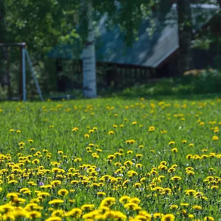 Rajan Loma Cottages * Joensuu